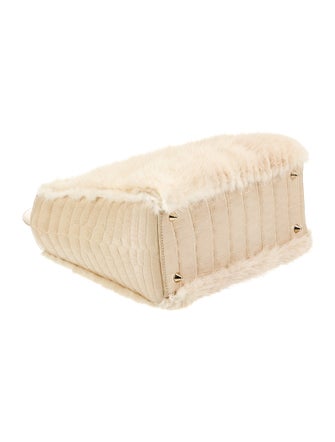 Christian Dior Mink Lady Dior Medium