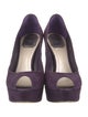 Christian Dior Suede Pumps