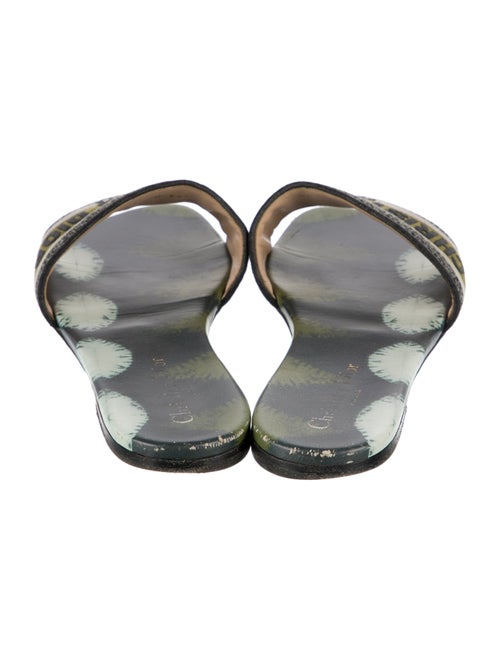 Christian Dior Canvas Printed Slides