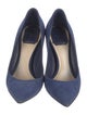 Christian Dior Suede Pumps