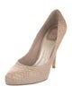 Christian Dior Suede Pumps