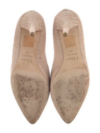 Christian Dior Suede Pumps