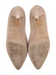 Christian Dior Suede Pumps