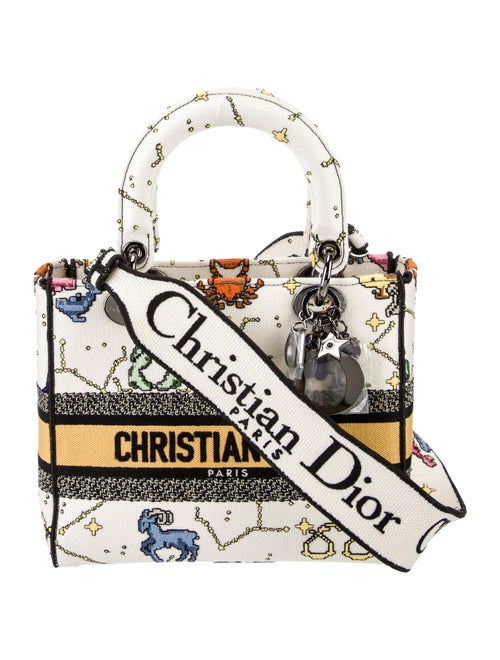 Christian Dior Canvas D-Lite Medium 2022