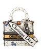 Christian Dior Canvas D-Lite Medium 2022
