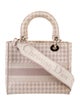 Christian Dior Canvas D-Lite Medium