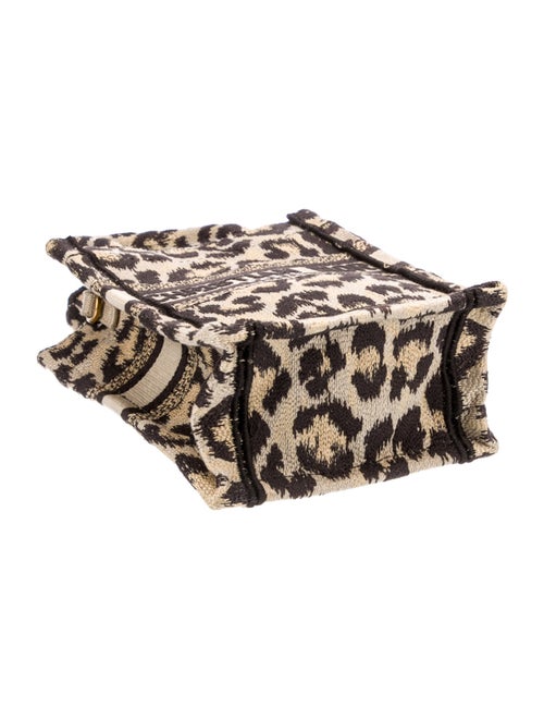 Christian Dior Canvas Book Mini 2022