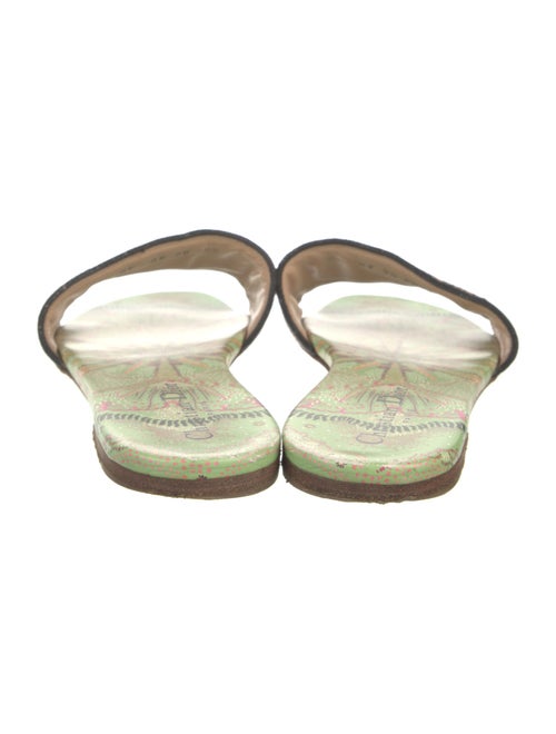 Christian Dior Printed Embroidered Accent Slides