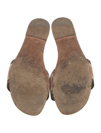 Christian Dior Printed Embroidered Accent Slides