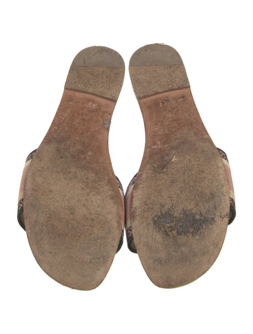 Christian Dior Printed Embroidered Accent Slides