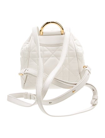 Christian Dior Leather Caro 2024