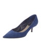 Christian Dior Suede Pumps