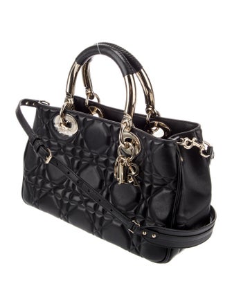 Christian Dior Leather 95. Medium 2022