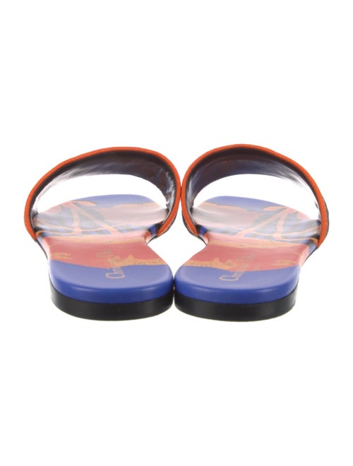 Christian Dior Canvas Printed Slides