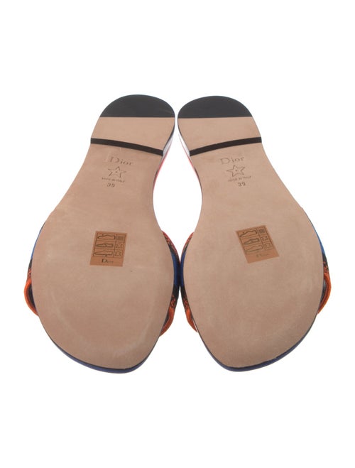 Christian Dior Canvas Printed Slides