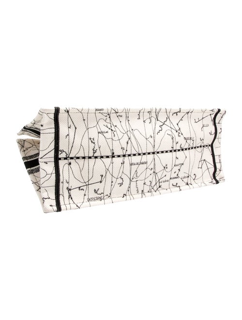 Christian Dior Canvas Book Large