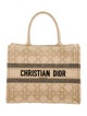 Christian Dior Raffia Book Medium 2022