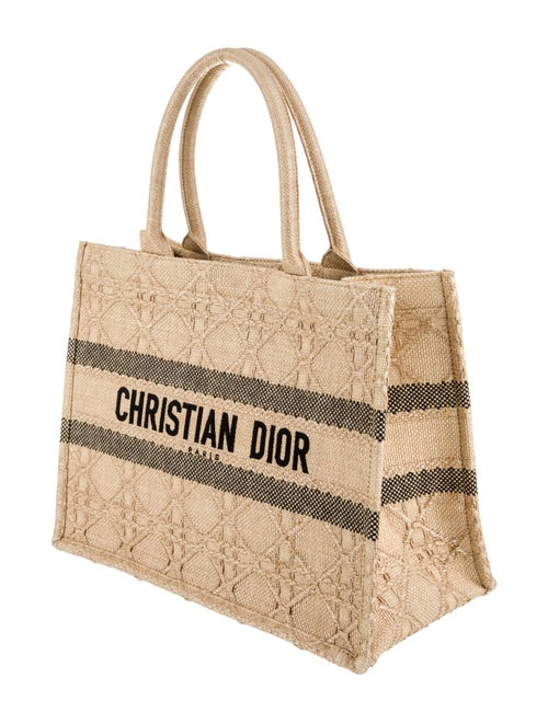 Christian Dior Raffia Book Medium 2022