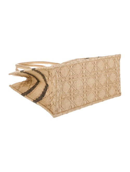 Christian Dior Raffia Book Medium 2022