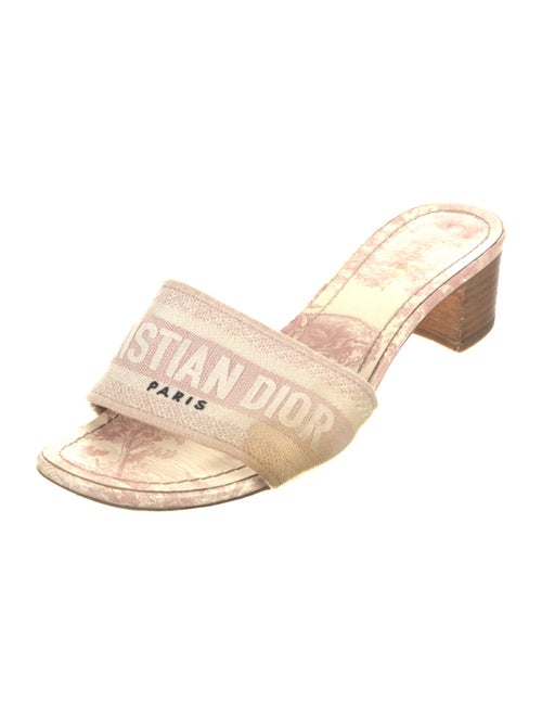 Christian Dior Canvas Printed Slides