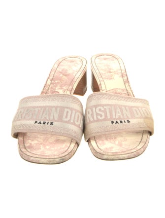 Christian Dior Canvas Printed Slides