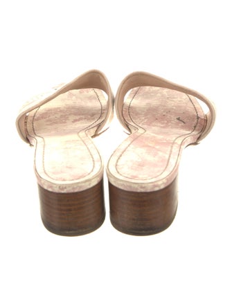 Christian Dior Canvas Printed Slides