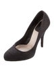Christian Dior Suede Pumps
