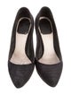 Christian Dior Suede Pumps