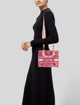 Christian Dior Canvas D-Lite Medium