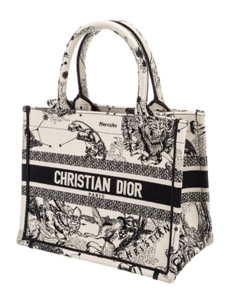 Christian Dior Canvas Zodiac Book