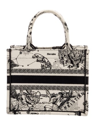 Christian Dior Canvas Zodiac Book