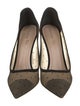 Christian Dior Mesh Pumps
