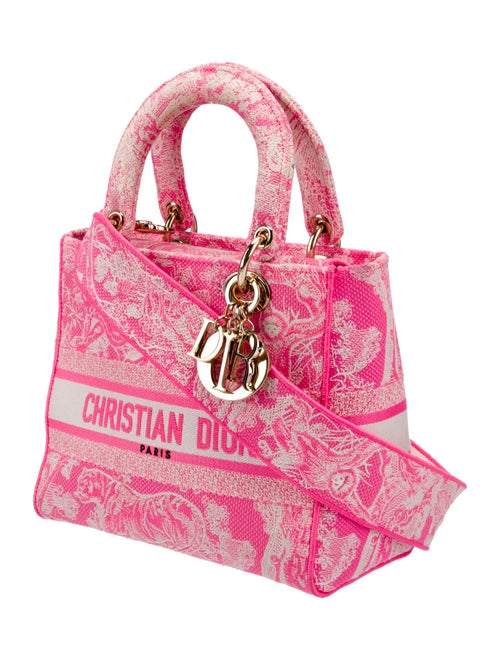 Christian Dior Toile de Jouy D-Lite Medium 2022
