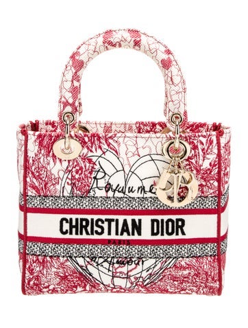 DIOR Handle Bags Canvas D-Lite Medium