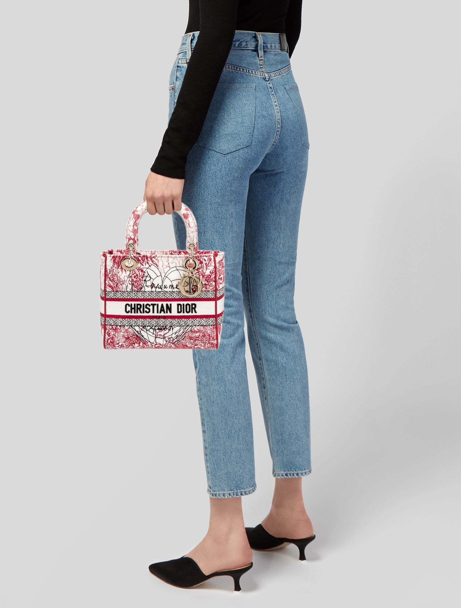 Christian Dior Canvas D-Lite Medium