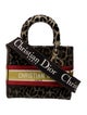 Christian Dior Velvet D-Lite Medium