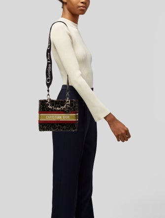 Christian Dior Velvet D-Lite Medium