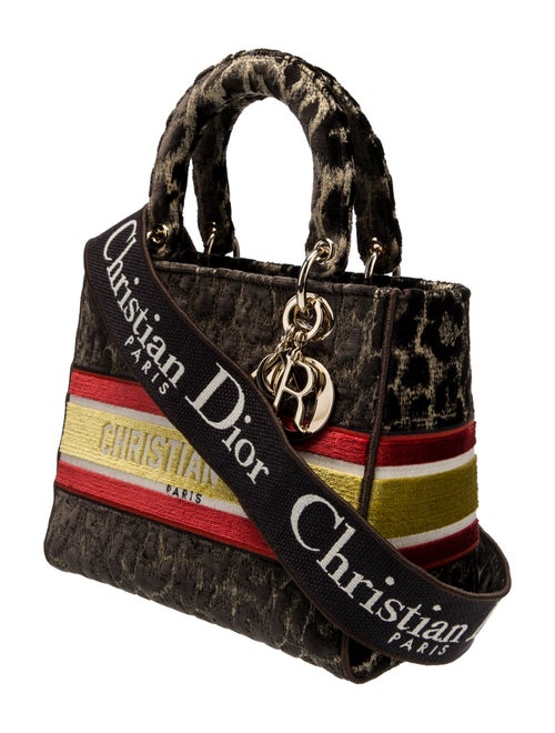 Christian Dior Velvet D-Lite Medium