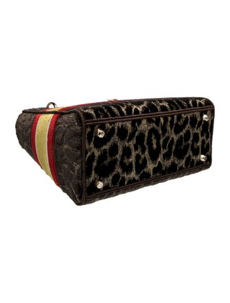 Christian Dior Velvet D-Lite Medium