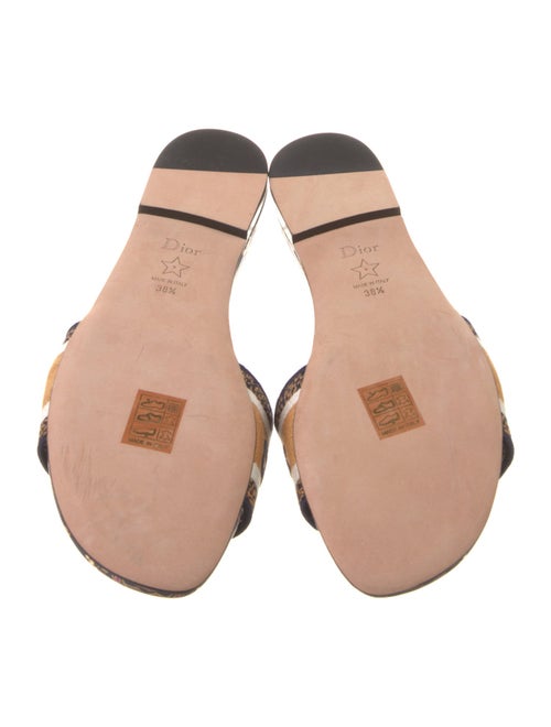 Christian Dior Canvas Printed Slides