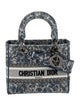 Christian Dior Canvas D-Lite Medium 2022
