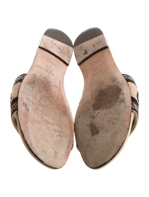 Christian Dior Canvas Printed Slides