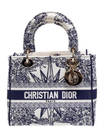Christian Dior Canvas D-Lite Medium 2022