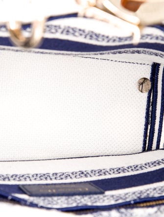 Christian Dior Canvas D-Lite Medium 2022