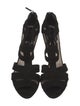 Christian Dior Suede T-Strap Sandals