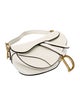 Christian Dior Leather Saddle 2022