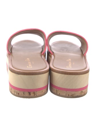 Christian Dior 2024-2025 Printed Slides