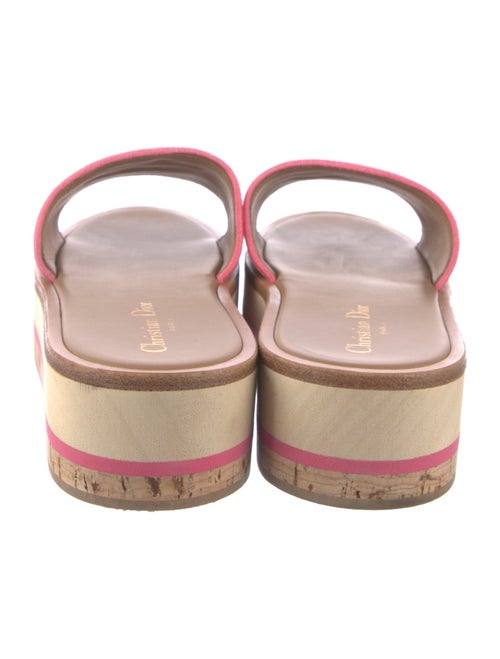 Christian Dior 2024-2025 Printed Slides