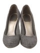 Christian Dior Suede Pumps