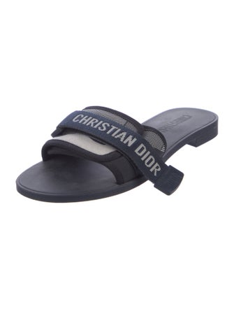 Christian Dior Dio(r)evolution Printed Slides